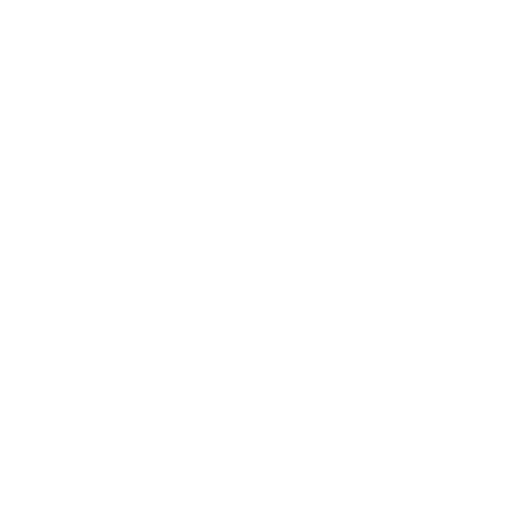 Lider School
